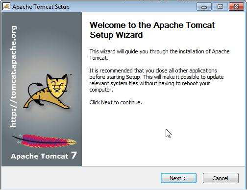 Tomcat7 5.png