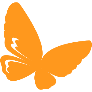 Motyl orange.png